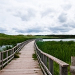 Cavendish Beach