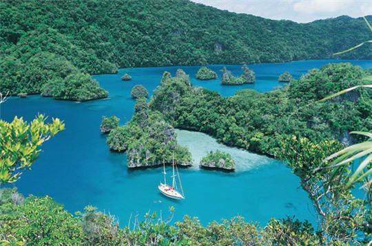 Vue d'une île paradisique