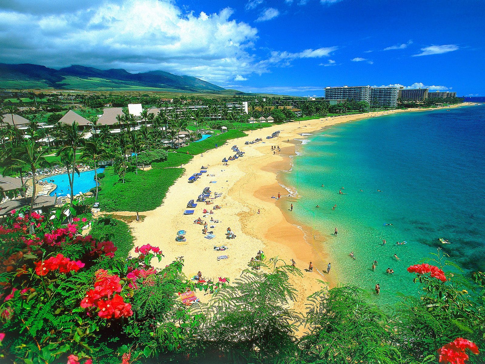 Vue d'une plage de Hawaï