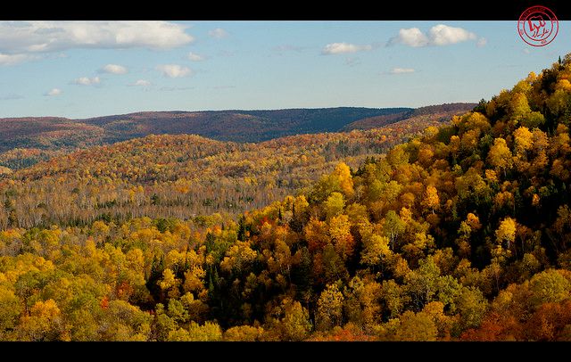 Mauricie - Marc Gélinas