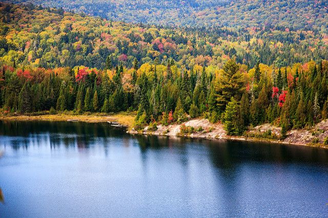 Mauricie - Stéphane DAMOUR