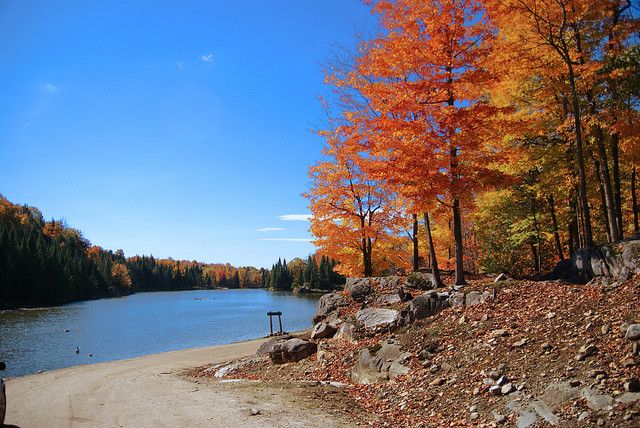 Omega Park - lezumbalaberenjena