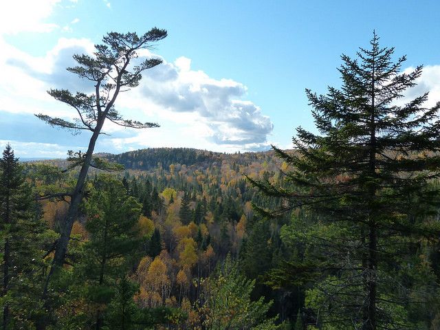 Parc des Appalaches - hebdromadaires