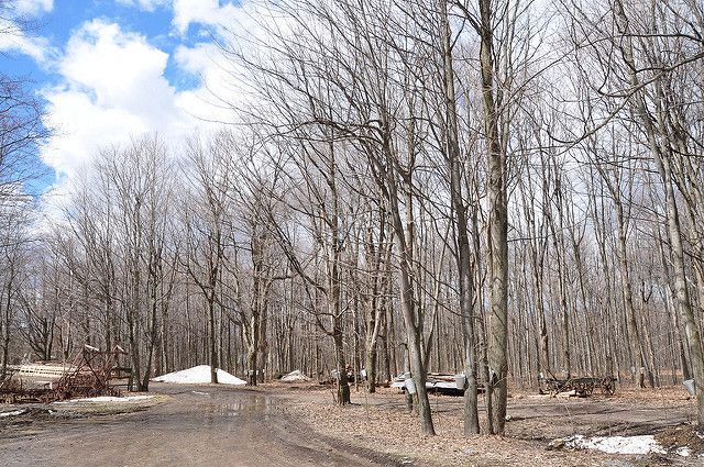 Sucrerie de la montagne - Rigaud - abdallahh