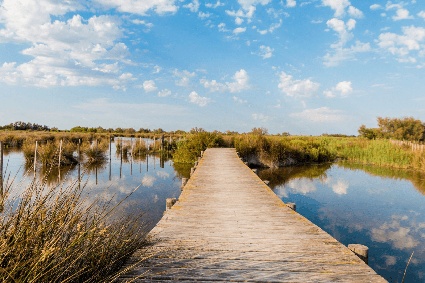 Partir France Mai Camargue