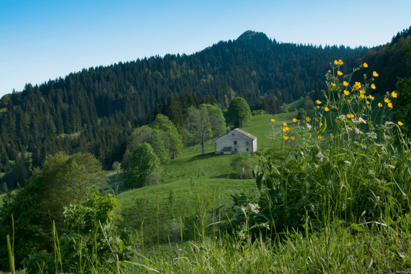 Randonnées Jura sentier Crêt de Chalam