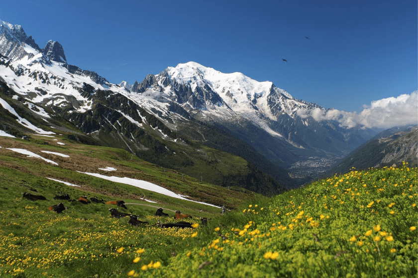 Randonnées en France incontournables tour du Mont Blanc