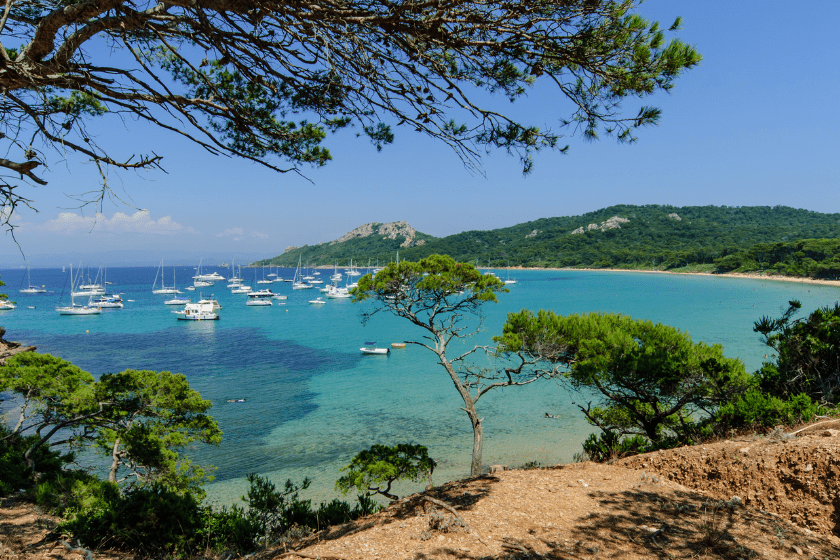 Iles méditerranéennes Porquerolles