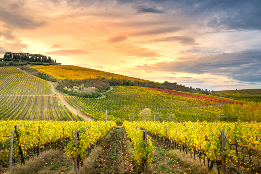 Visiter la toscane chianti