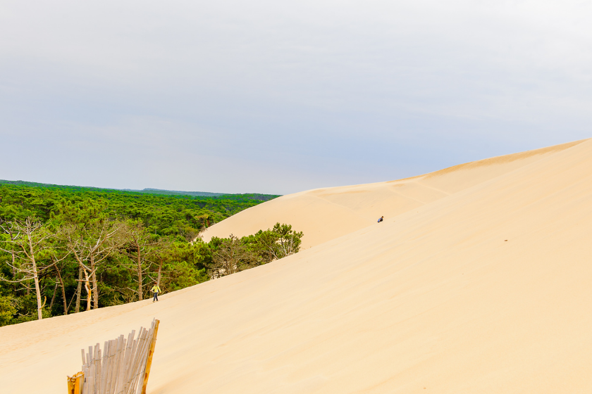 Que faire à Arcachon-Dune du Pilat