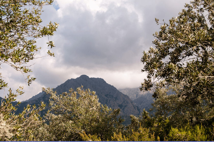 Noël en Corse