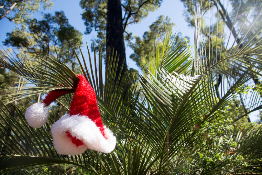 Noël en Australie