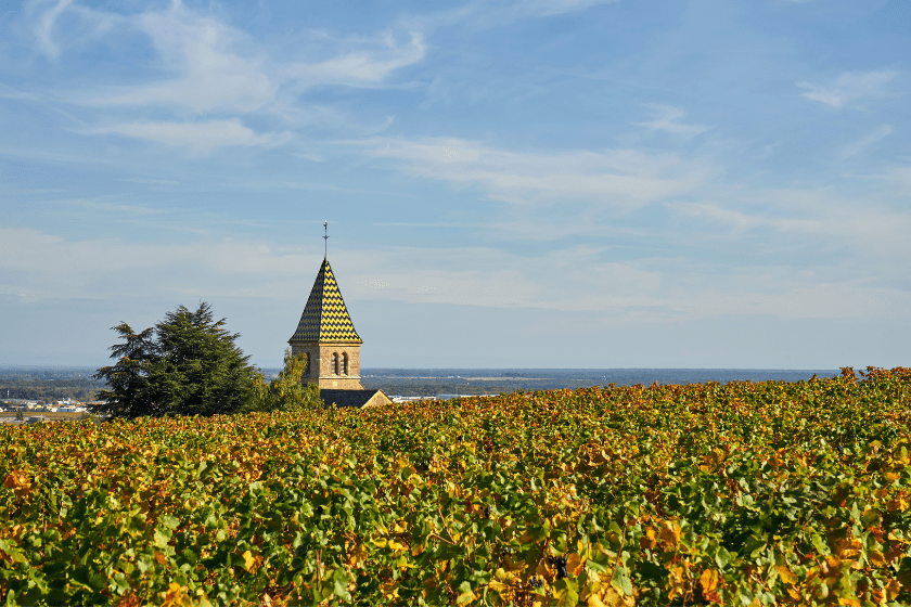 Où partir en automne en France Bourgogne