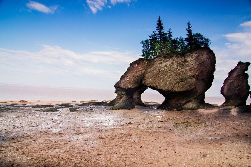 Plage dans la Baie de Fundy au parc national de Fundy