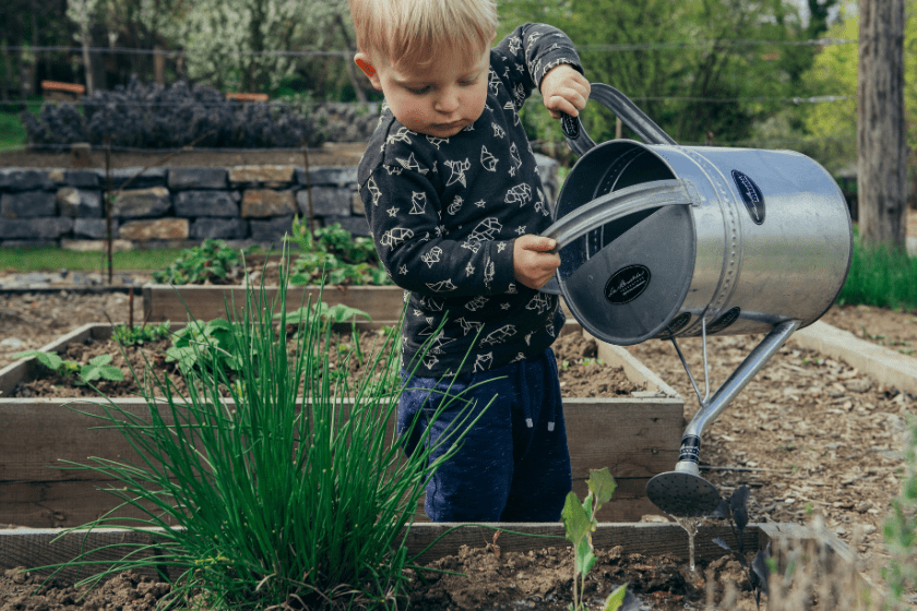 save water at home