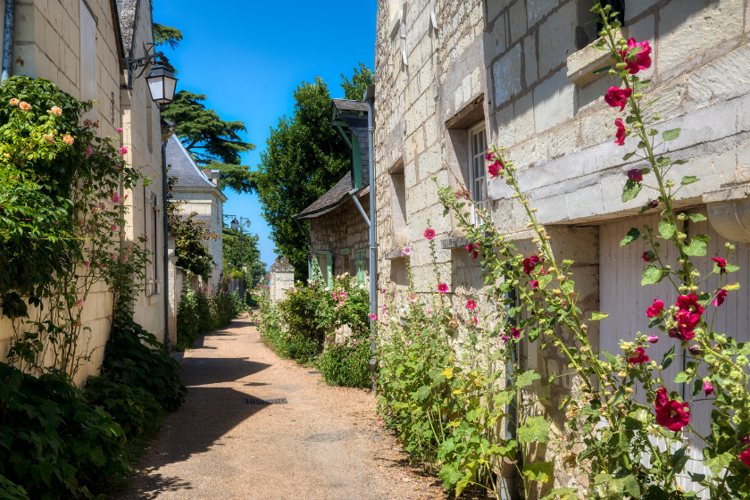 Escapade romantique Candes Saint Martin