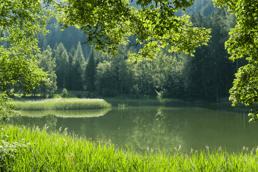 Vacances campagne dans le Berry