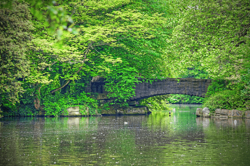 visiter le parc de Dublin