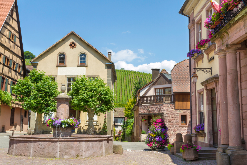 Vacances à la campagne en famille Riquewihr