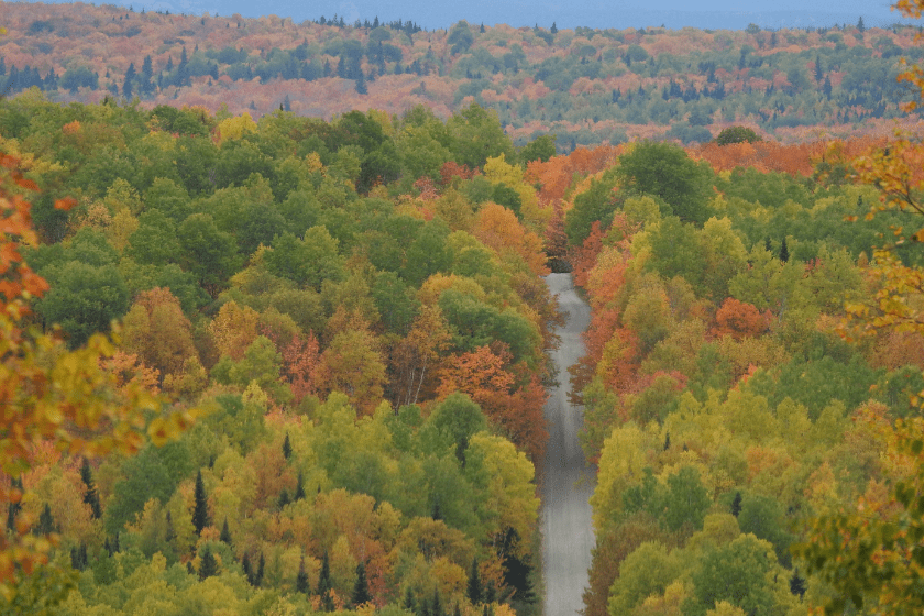 Les couleurs d'automne au Québec