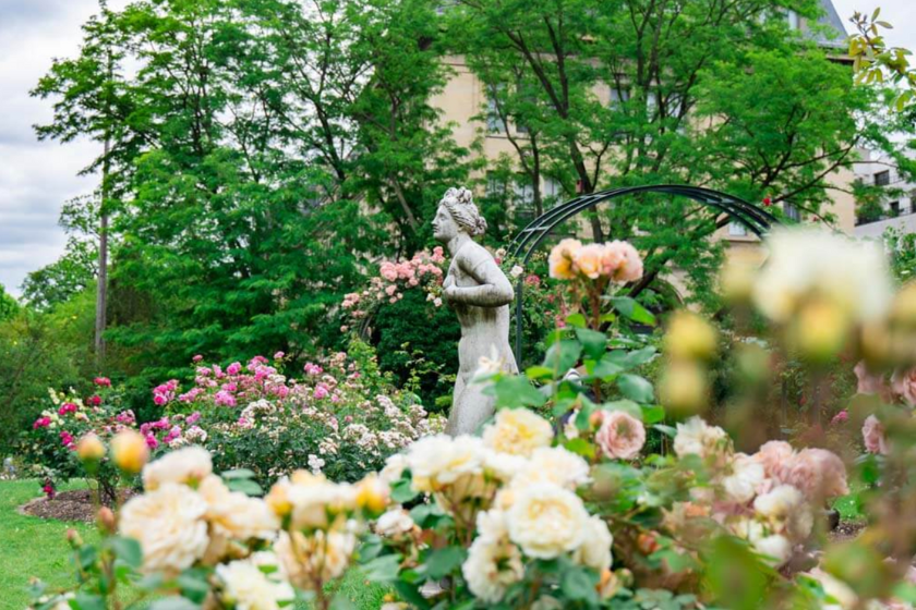 Expositions à Paris en 2024-2025 Jardin des plantes