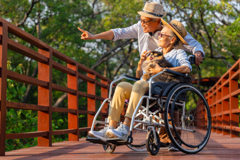 journée internationale handicap