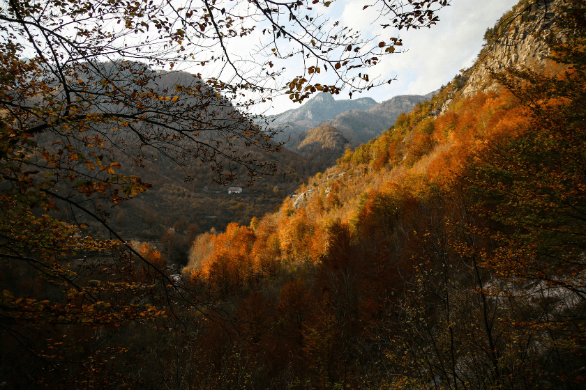 quand partir en albanie