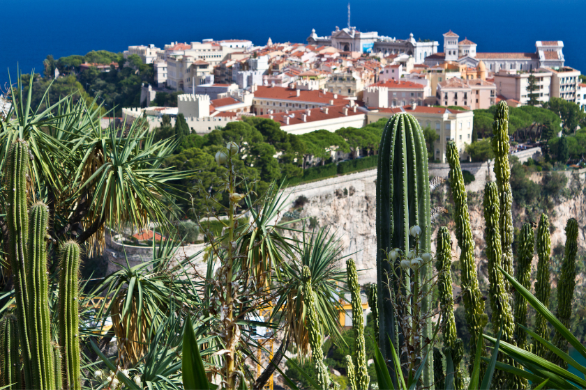 Que faire à Monaco le Jardin exotique