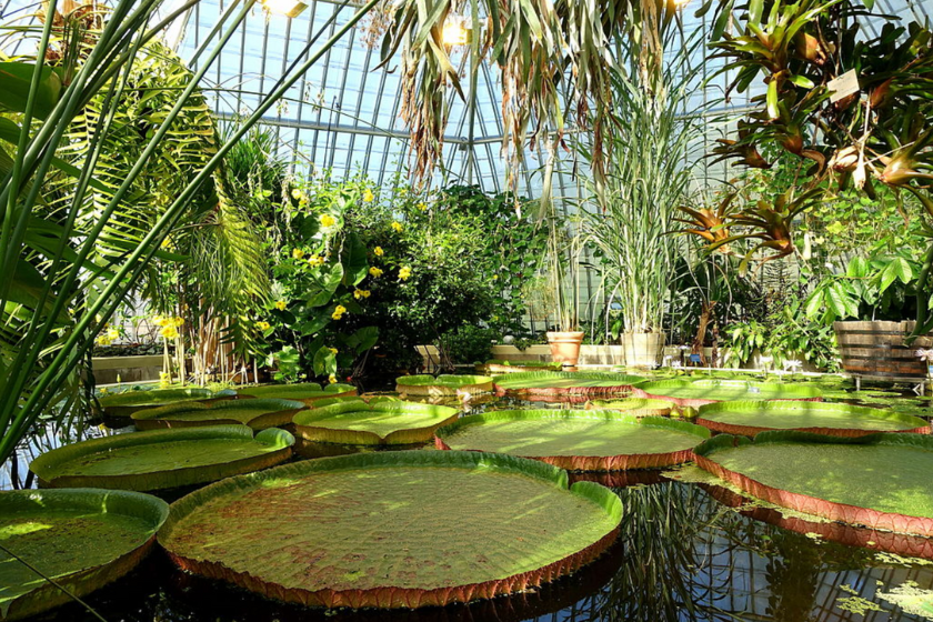 Que faire à Stockholm Jardin botanique Bergianska Trädgården