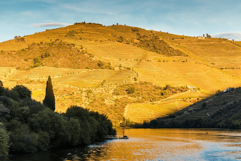 Tren en el duero