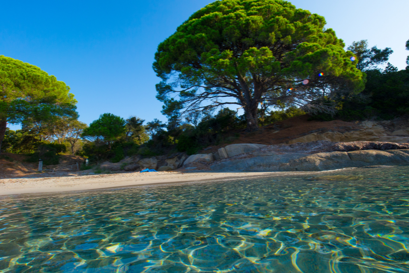 plus belles plages France Palombaggia Corse du sud